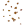 Autumn Leaves